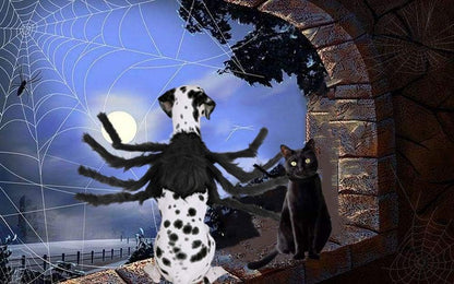 Halloween Spider Costume for Dogs Cats, Dog Cat Spider Costume Accessory Decoration Simulation Spider Legs Puppy Cosplay Apparel for Christmas Halloween Party