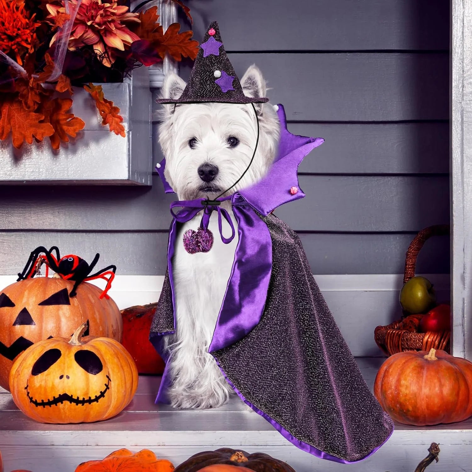 Pet Halloween Costumes-Wizard Cat Clothes Cloak and Hat, Dog Cosplay Wizard Hat Cape Suit, Halloween Party Clothes Outfit for Cats & Small Medium Dogs