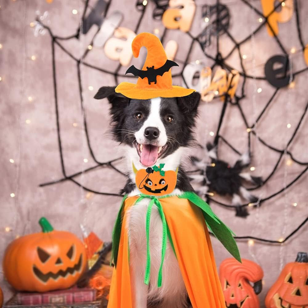 Cat Dog Halloween Costumes for Small Medium Dogs Girl Boy Chihuahua Funny Dog Halloween Costume Pet Puppy Clothes Party Cosplay Kitties Accessories Outfit (# 1, Medium)
