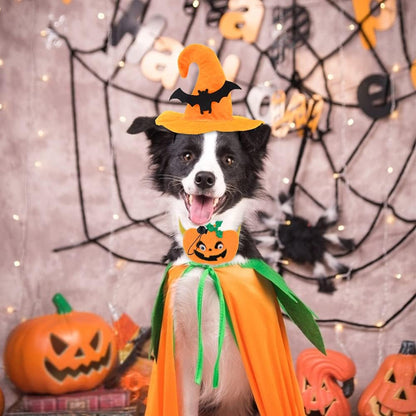 Cat Dog Halloween Costumes for Small Medium Dogs Girl Boy Chihuahua Funny Dog Halloween Costume Pet Puppy Clothes Party Cosplay Kitties Accessories Outfit (# 1, Medium)