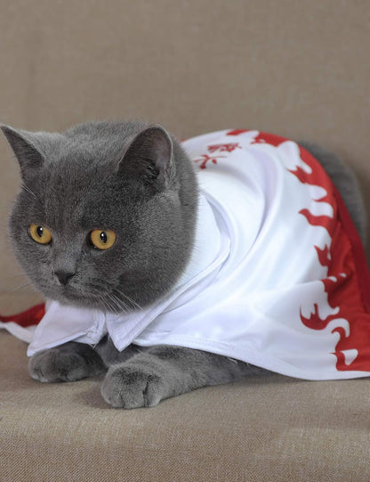 Halloween Cat Costume Funny Anime Pet Clothes Kitten Costumes Small Dog Accessories Outfits (M)