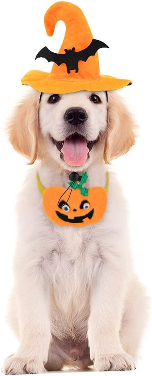 Cat Dog Halloween Costumes for Small Medium Dogs Girl Boy Chihuahua Funny Dog Halloween Costume Pet Puppy Clothes Party Cosplay Kitties Accessories Outfit (# 1, Medium)