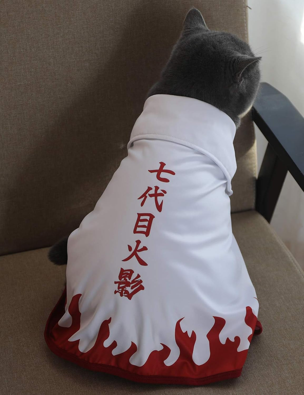 Halloween Cat Costume Funny Anime Pet Clothes Kitten Costumes Small Dog Accessories Outfits (M)