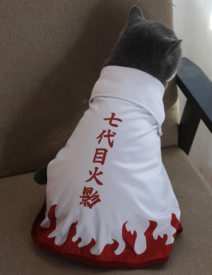 Halloween Cat Costume Funny Anime Pet Clothes Kitten Costumes Small Dog Accessories Outfits (M)