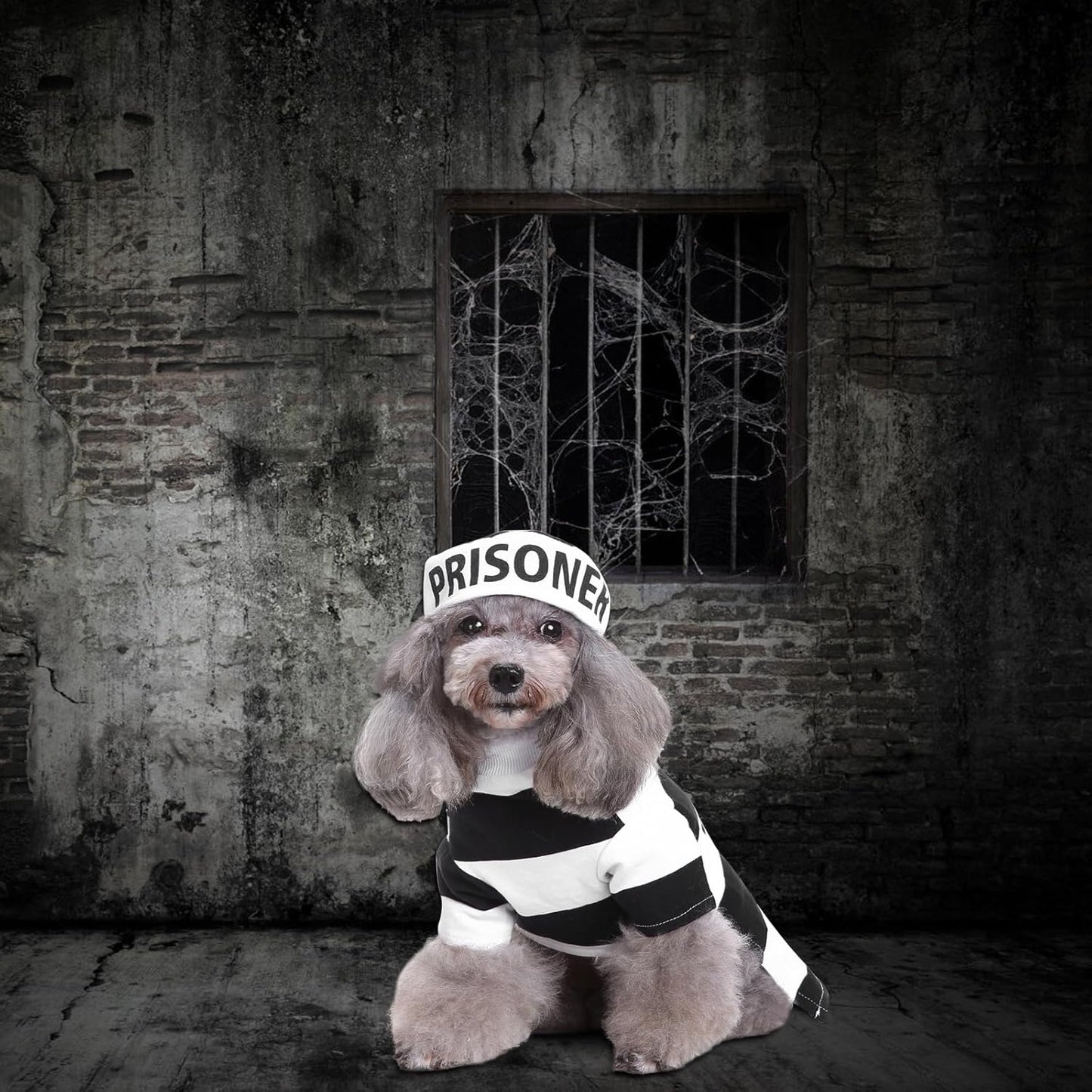 Prisoner Dog Costume - Dog Halloween Costume, Dog Cosplay Costume with Hat for Puppy Small Medium Large Dogs Special Events Funny Photo Props Accessories