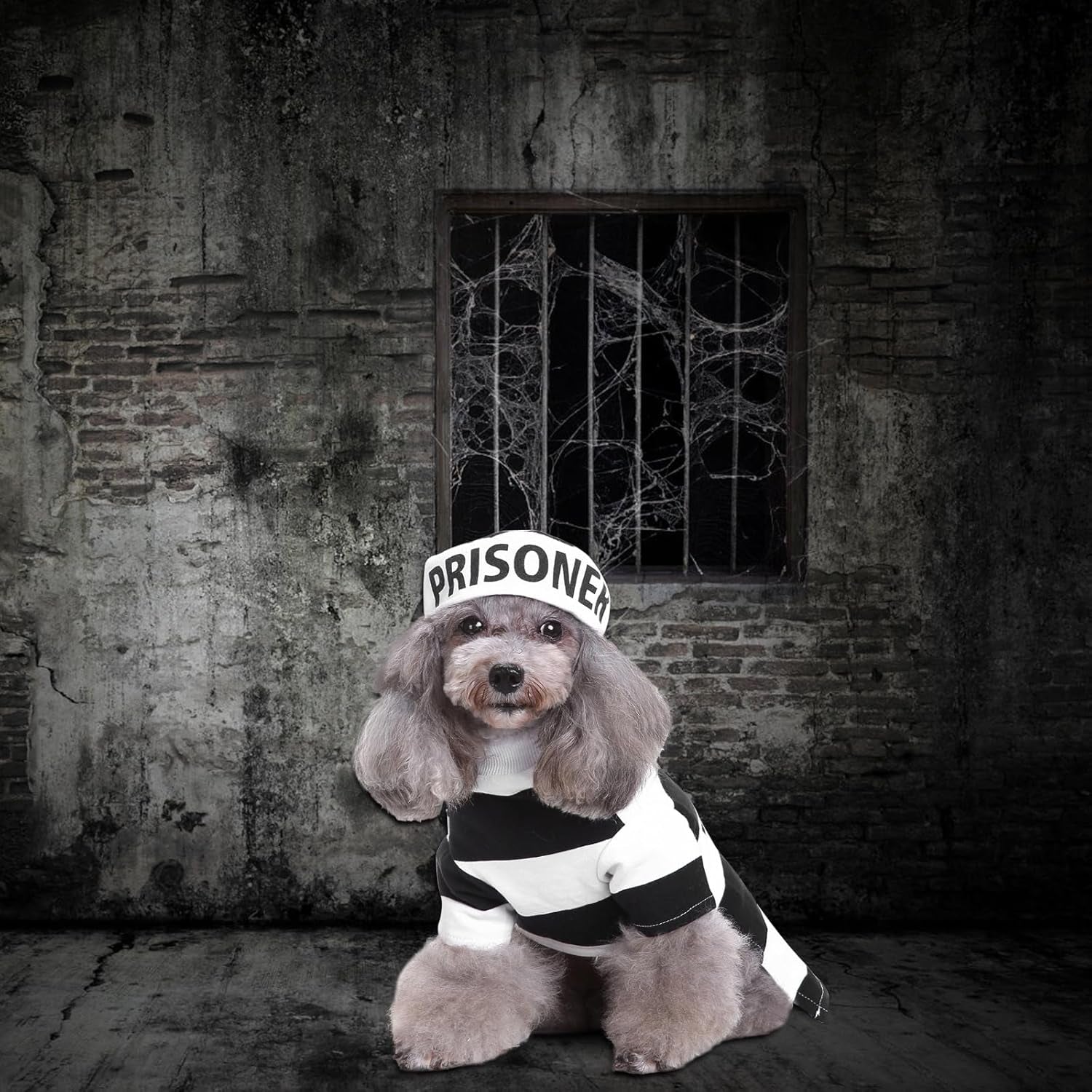 Prisoner Dog Costume - Dog Halloween Costume, Dog Cosplay Costume with Hat for Puppy Small Medium Large Dogs Special Events Funny Photo Props Accessories