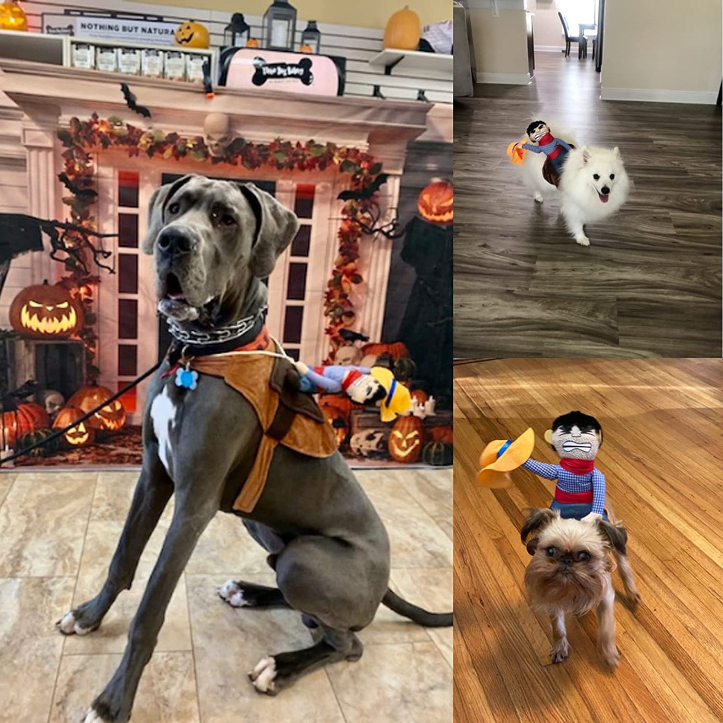 Cowboy Rider Dog Costume for Dogs Outfit Knight Style with Doll and Hat Pet Costume (M)
