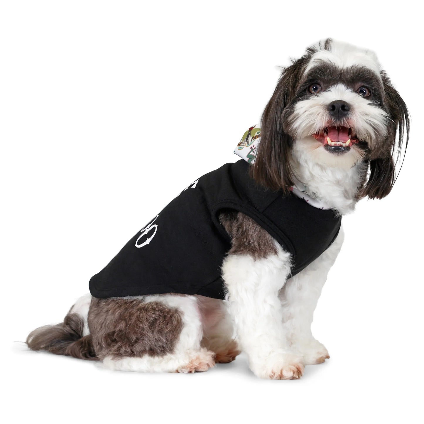 Halloween Hoodie for Dogs & Cats, Little Bug-A-Boo, Black, Small