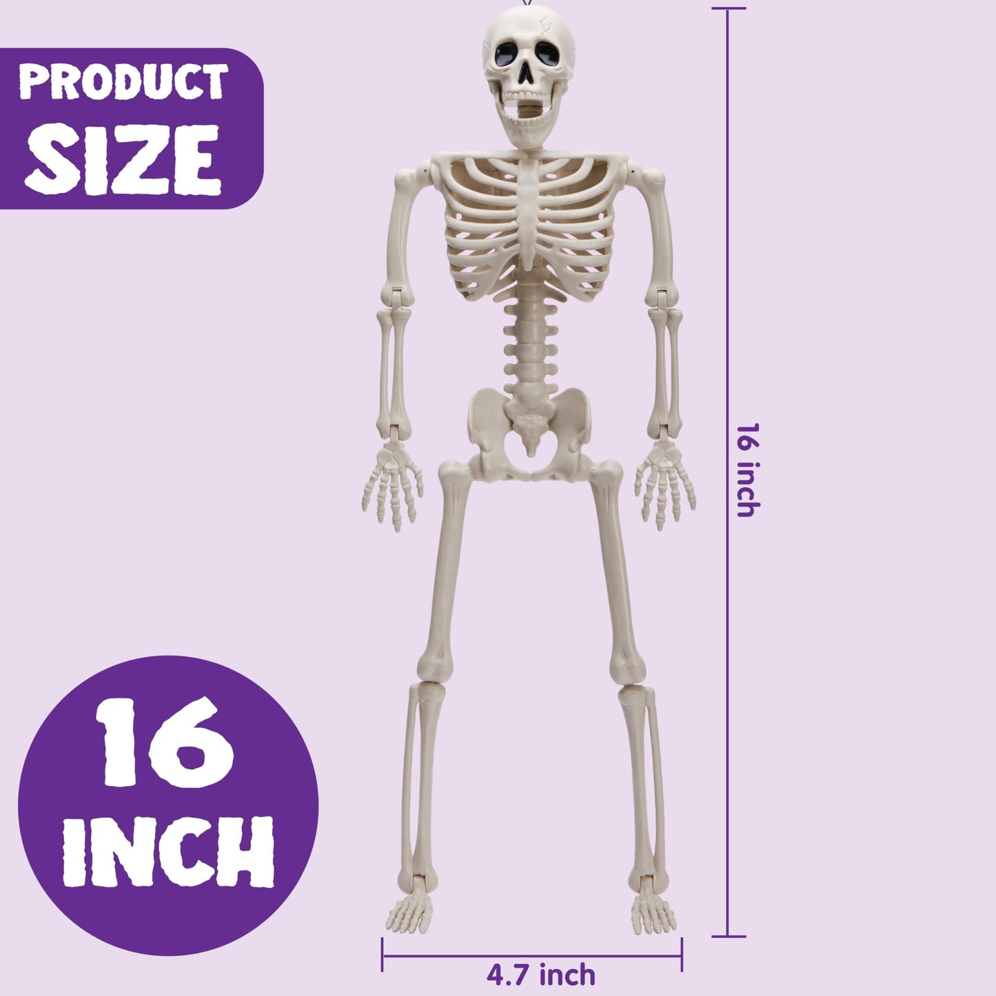 5 Pcs Halloween Skeleton Decorations,16 Inch Full Body Poseable Skeleton with Movable Joints for Halloween Indoor Outdoor Party,Graveyard,Haunted House Accessories,White