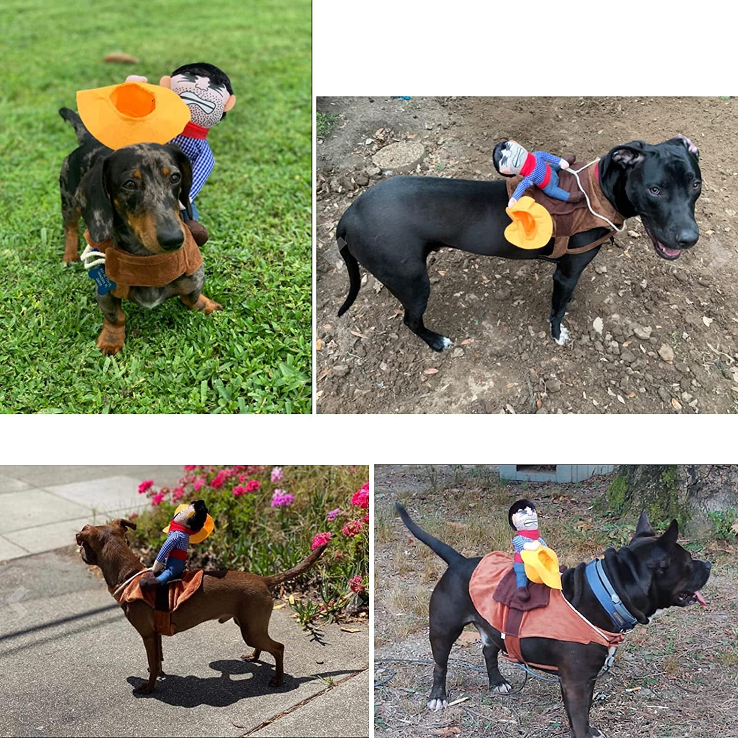 Pet Costume Dog Costume Clothes Pet Outfit Suit Cowboy Rider Style with Doll and Hat Pet Costume (S)
