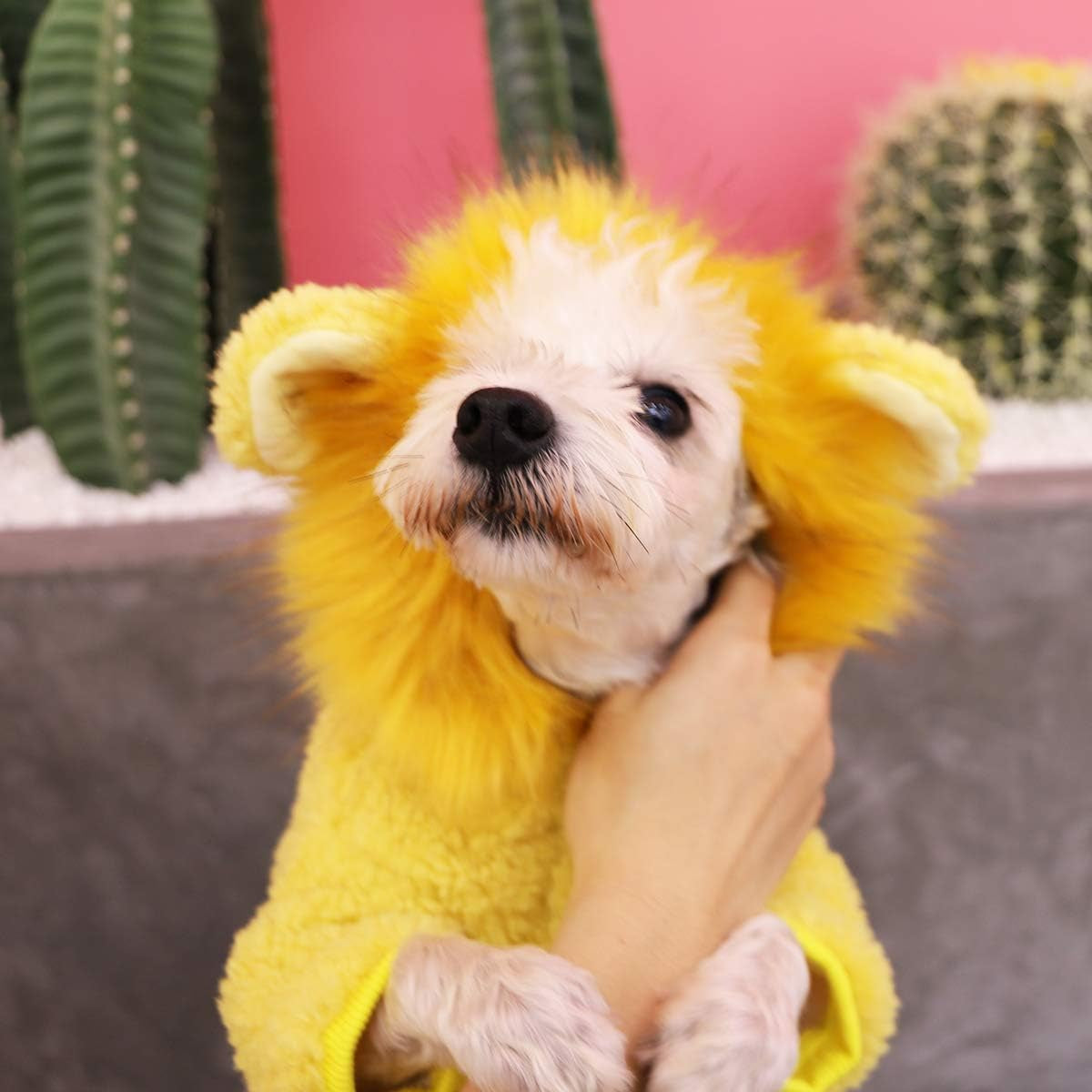 Dog Costumes,Cat Costumes,Dog Clothes,Cute Dog Coat, Lion Cosplay Winter Costume to Make Your Pet Look Cute. (S)