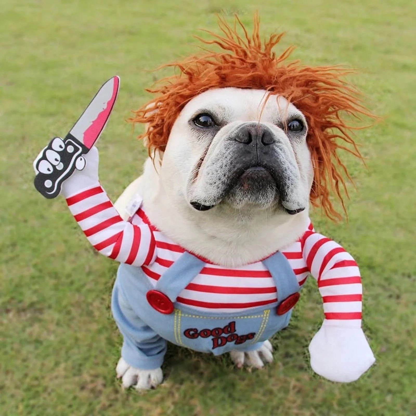 Pet Halloween Ghost Clothes Creative Halloween Christmas Pet Clothes Funny Dog Clothes M