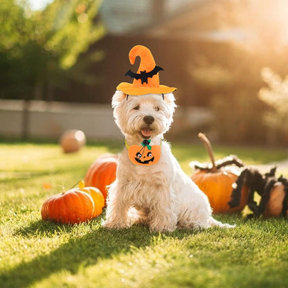 Cat Dog Halloween Costumes for Small Medium Dogs Girl Boy Chihuahua Funny Dog Halloween Costume Pet Puppy Clothes Party Cosplay Kitties Accessories Outfit (# 1, Medium)