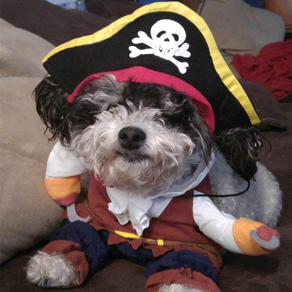 Funny Cat Pirate Costumes - Caribbean Style Pet Dressing up Cosplay Party Costume with Hat Small to Medium Dogs Cats Kitty Cute Fashion Prop Apparel for Christmas Halloween Party Accessories (XL)