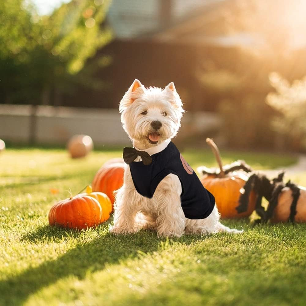 Halloween Pet Shirt Small Dog Clothes Puppy Cat Costume Apparel Pumpkin Pattern (X-Small, Black)