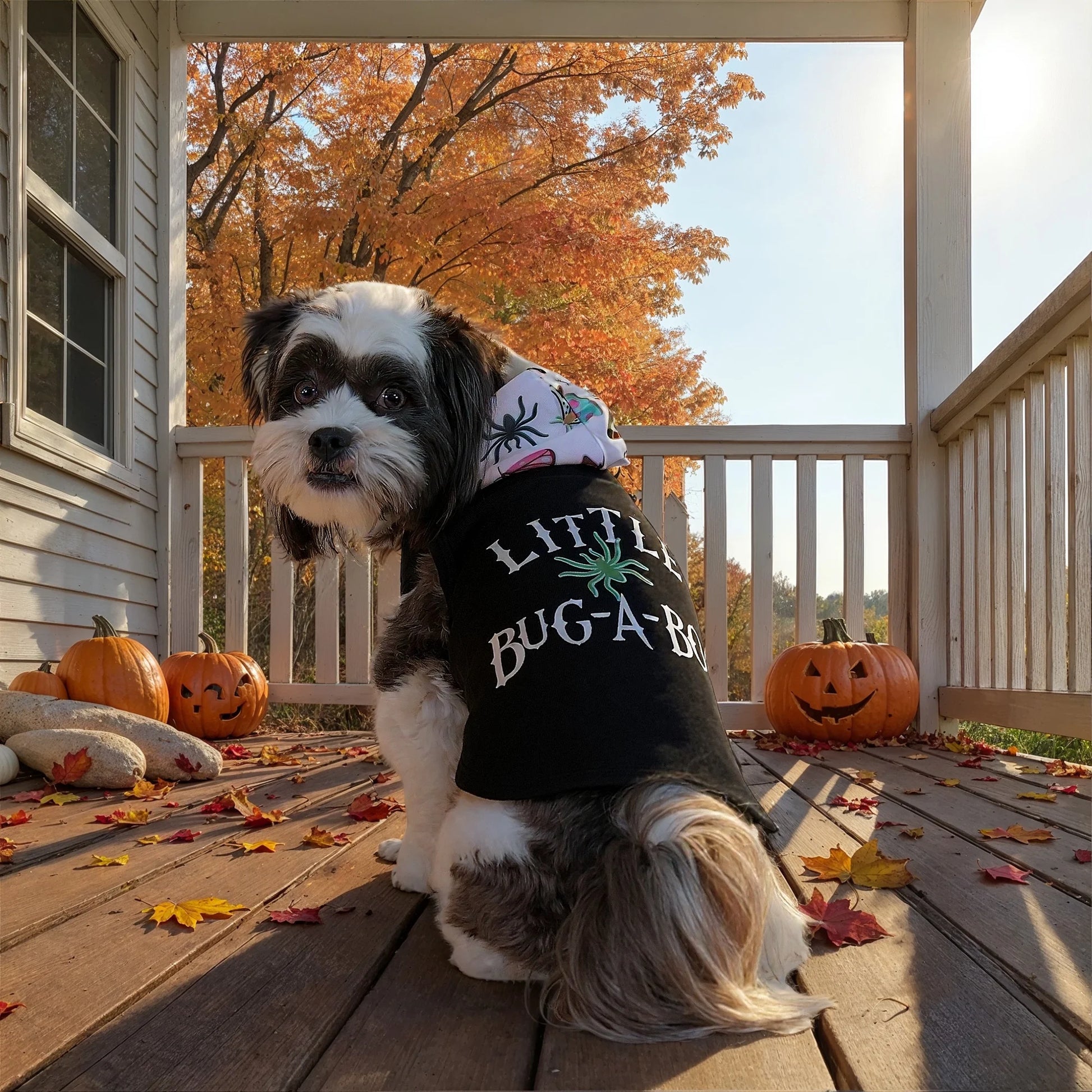 Halloween Hoodie for Dogs & Cats, Little Bug-A-Boo, Black, Small