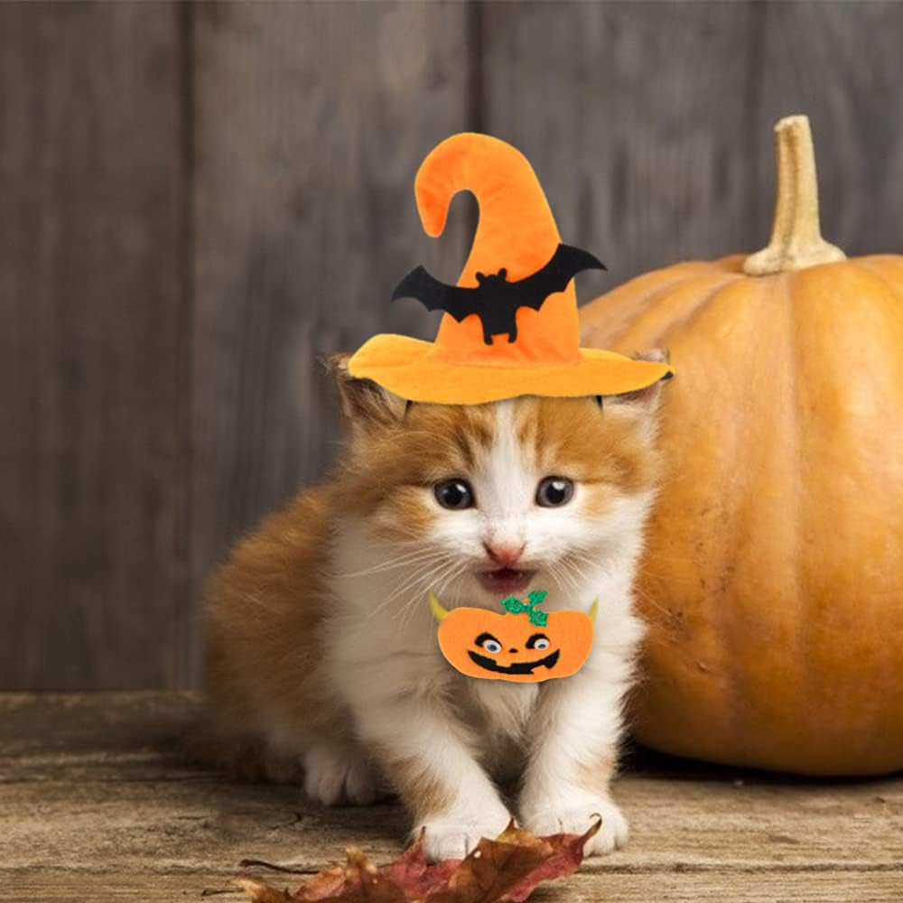 Cat Dog Halloween Costumes for Small Medium Dogs Girl Boy Chihuahua Funny Dog Halloween Costume Pet Puppy Clothes Party Cosplay Kitties Accessories Outfit (# 1, Medium)