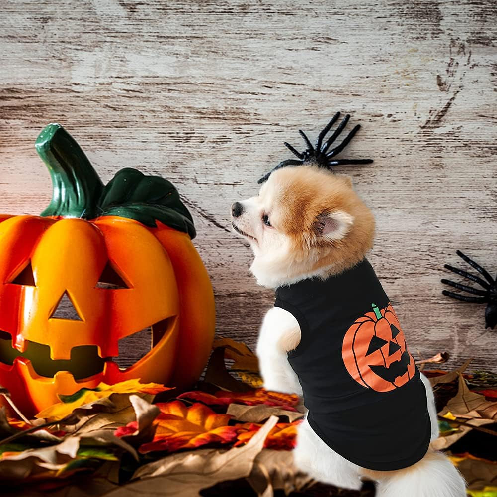 Halloween Pet Shirt Small Dog Clothes Puppy Cat Costume Apparel Pumpkin Pattern (X-Small, Black)