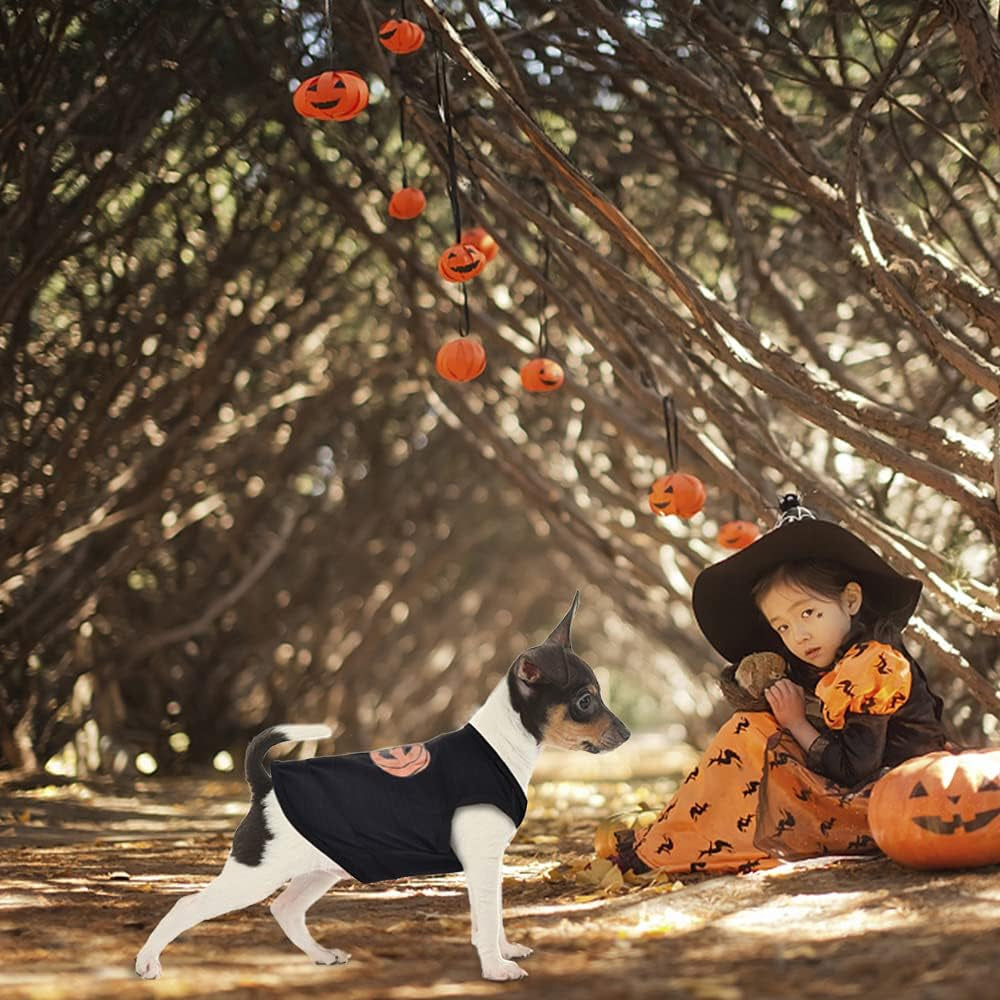 Halloween Pet Shirt Small Dog Clothes Puppy Cat Costume Apparel Pumpkin Pattern (X-Small, Black)