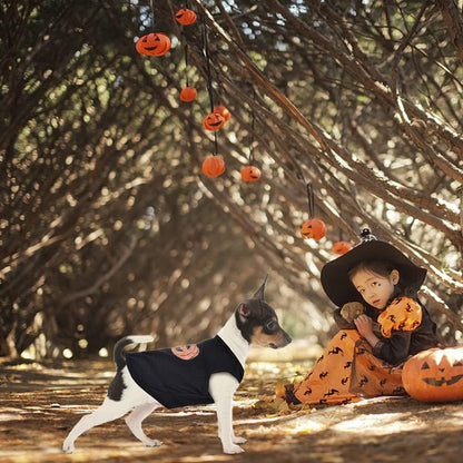 Halloween Pet Shirt Small Dog Clothes Puppy Cat Costume Apparel Pumpkin Pattern (X-Small, Black)