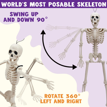 5 Pcs Halloween Skeleton Decorations,16 Inch Full Body Poseable Skeleton with Movable Joints for Halloween Indoor Outdoor Party,Graveyard,Haunted House Accessories,White