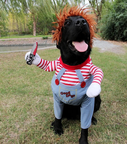 Pet Halloween Ghost Clothes Creative Halloween Christmas Pet Clothes Funny Dog Clothes M