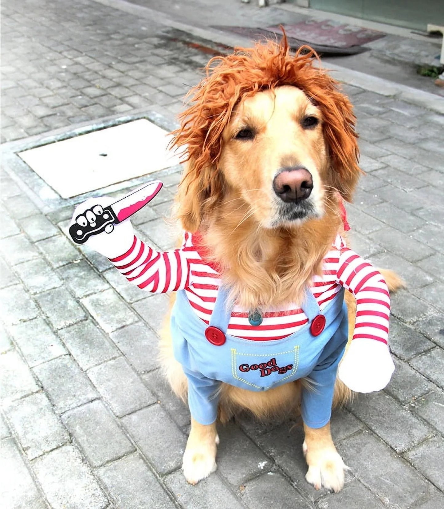 Pet Halloween Ghost Clothes Creative Halloween Christmas Pet Clothes Funny Dog Clothes M