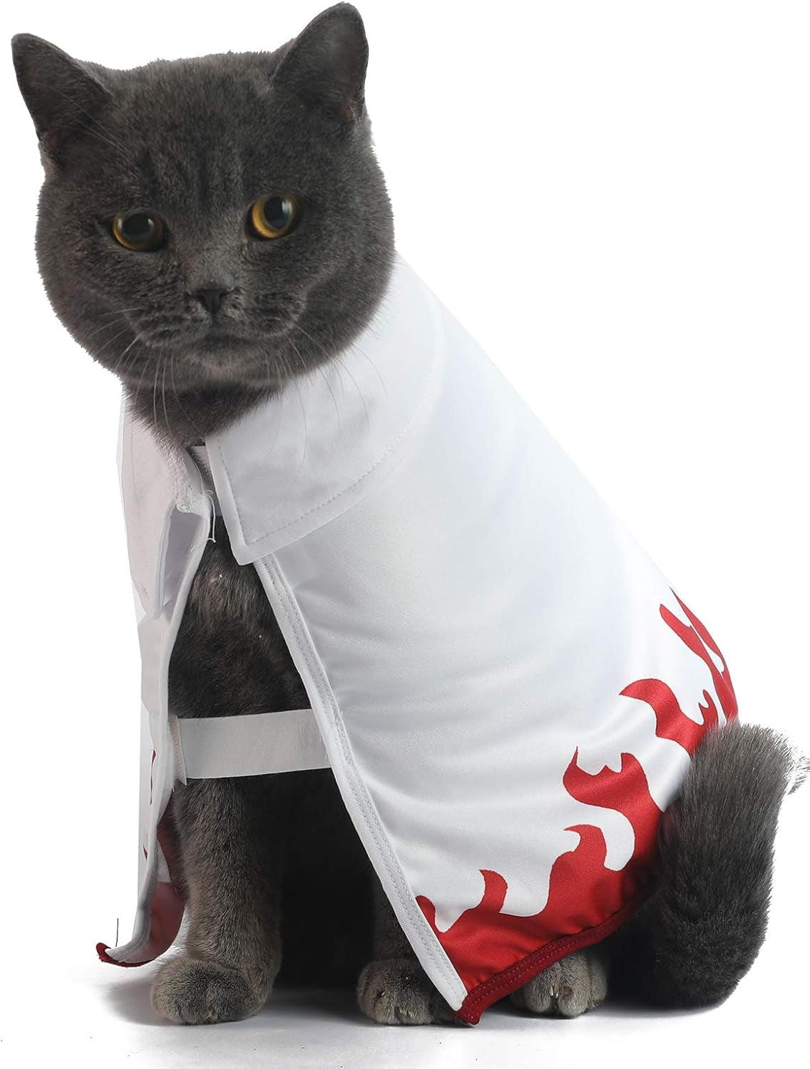 Halloween Cat Costume Funny Anime Pet Clothes Kitten Costumes Small Dog Accessories Outfits (M)