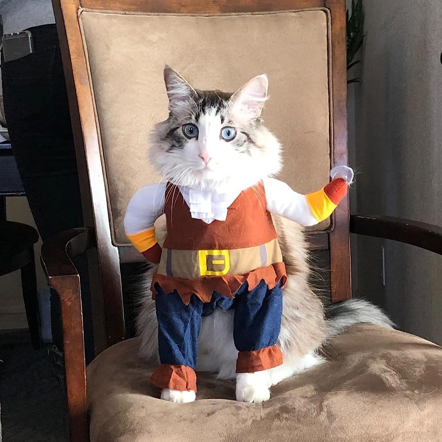 Funny Cat Pirate Costumes - Caribbean Style Pet Dressing up Cosplay Party Costume with Hat Small to Medium Dogs Cats Kitty Cute Fashion Prop Apparel for Christmas Halloween Party Accessories (XL)