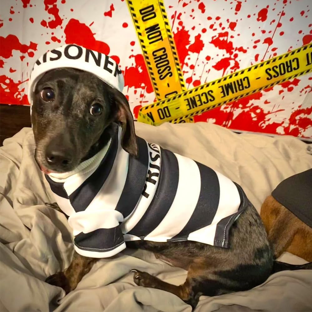 Prisoner Dog Costume - Dog Halloween Costume, Dog Cosplay Costume with Hat for Puppy Small Medium Large Dogs Special Events Funny Photo Props Accessories