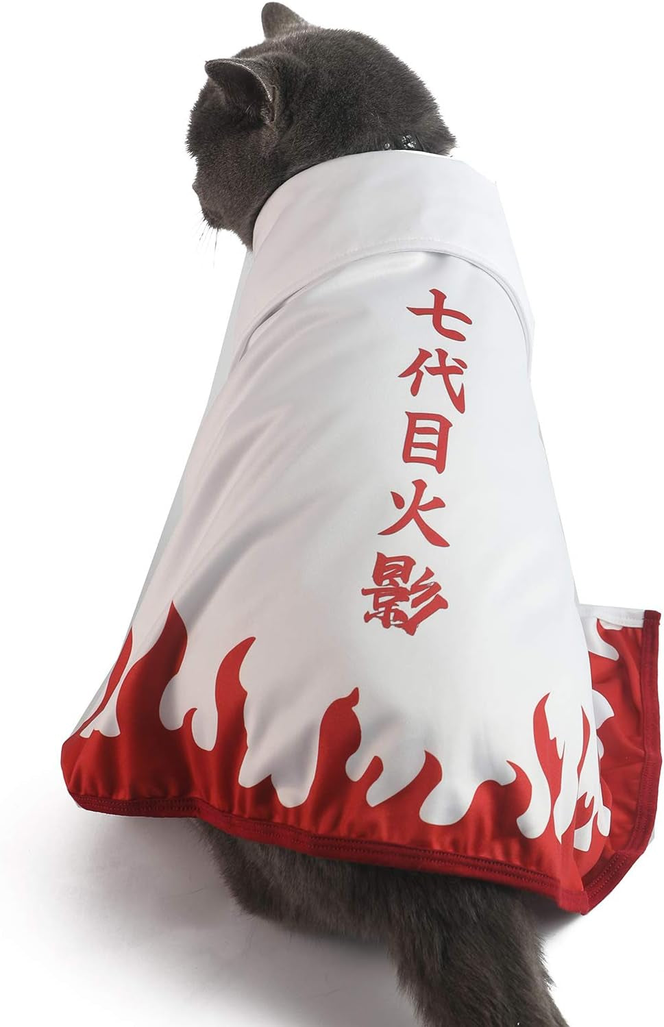 Halloween Cat Costume Funny Anime Pet Clothes Kitten Costumes Small Dog Accessories Outfits (M)