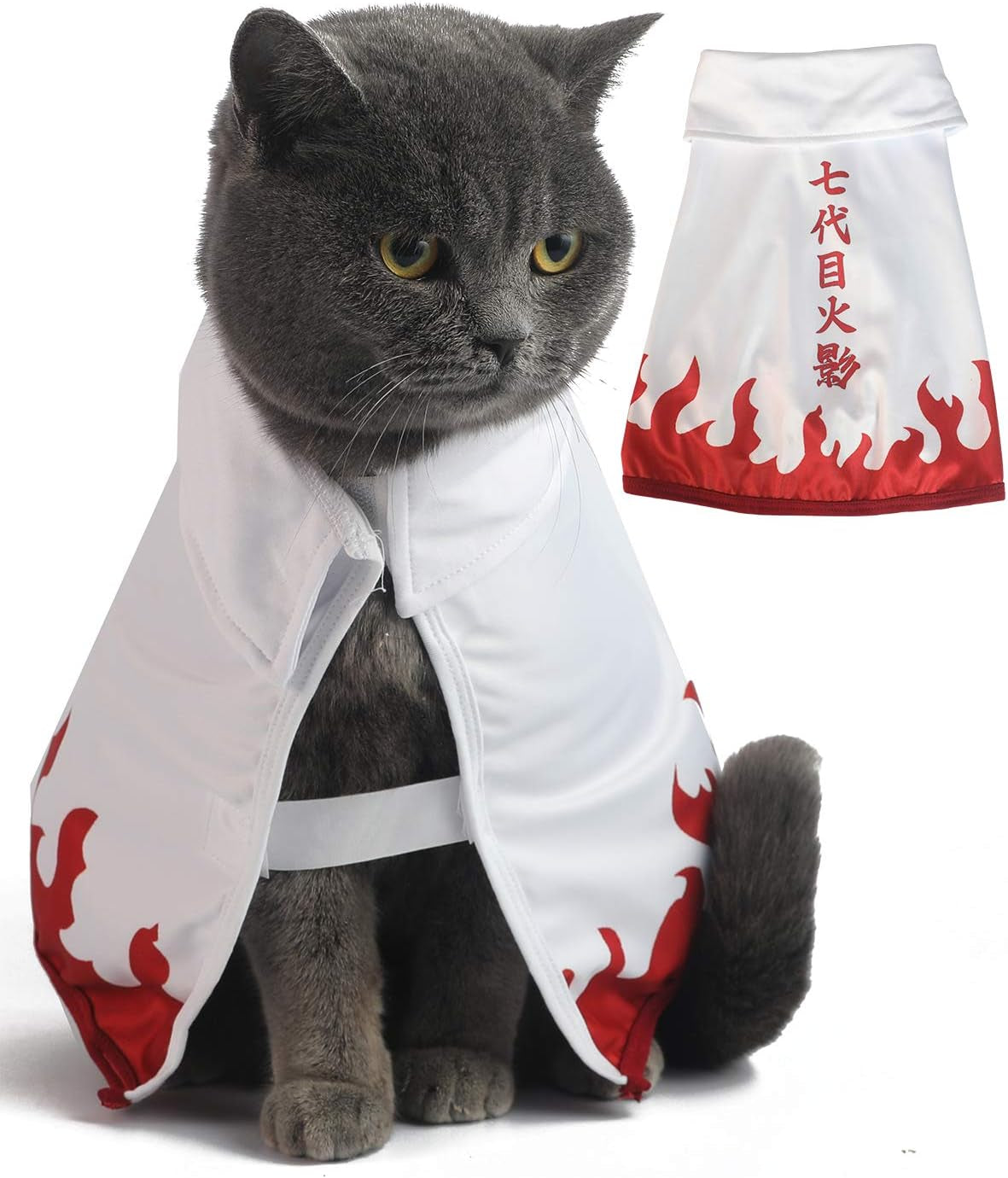 Halloween Cat Costume Funny Anime Pet Clothes Kitten Costumes Small Dog Accessories Outfits (M)